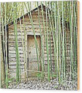One Room House With Bamboo Wood Print