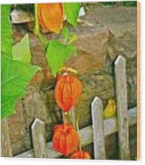 Orange Lanterns Wood Print