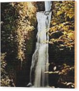 Oregon Waterfall Yellows Wood Print