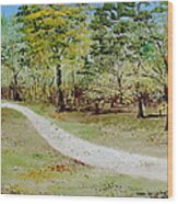 Otter Springs Trail Wood Print