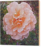 Pale Orange Begonia Wood Print