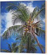 Palm Dream Wood Print