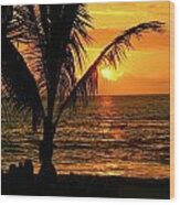 Palm Framed Sunset Wood Print