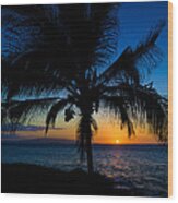 Palm Sunset Wood Print