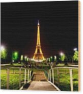Paris - Tour Eiffel Wood Print