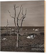 Pastorale 2 Wood Print