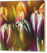 Pateline Tulips Wood Print