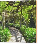 Pathway #pathway #canopy #arbor Wood Print