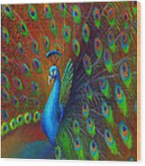 Peacock Spread Wood Print