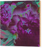 Peony Passion Wood Print