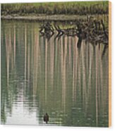 Pickle Pond Wood Print