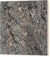 Pine Bark Wood Print