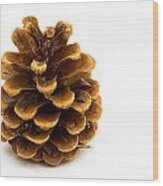 Pine Cone Wood Print