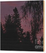 Pink Sky In The Morning Wood Print