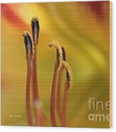 Pistils Of The Daylily Wood Print