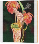 Pitcher Plant With Blooms Wood Print