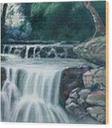 Pocono Mountains Waterfall Wood Print