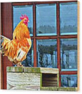 Proud Rooster Wood Print