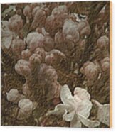 Pruning Lilacs Wood Print
