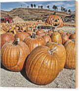 Pumpkin Patch 3 Wood Print