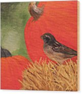 Pumpkins And Sparrow Wood Print