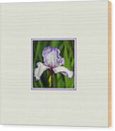 Purple And White Iris Photo Square Wood Print