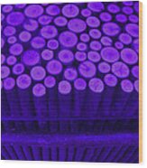 Purple Maple Sticks Wood Print