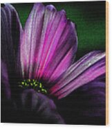 Purple Petals Wood Print