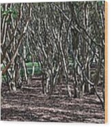 Quirky Trees Wood Print