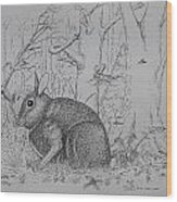Rabbit In Woodland Wood Print