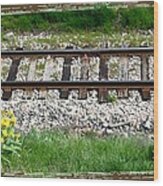 Railway Tracks And Wild Sunflowers Wood Print