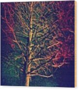 #random #tree #creepy #dark #night #ig Wood Print