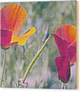 Red And Orange Poppies Wood Print