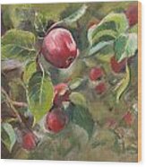 Red Apples Wood Print