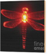 Red Midnight Dragonfly Wood Print