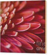 Red Petals Abstract 1 Wood Print