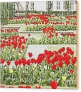 Red Tulips Wood Print