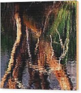 Reflections Wood Print by Michelle Wrighton