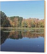 Reflections Of Fall Foliage In Ct Wood Print