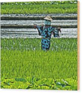 Rice Field - Okinawa Wood Print