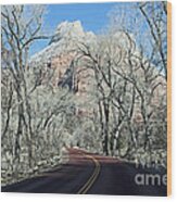 Road Through Zion Canyon Wood Print