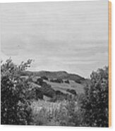 Rolling Hills View Ii - Bw Wood Print