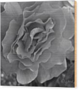 #rose #flower #blackandwhite #mono Wood Print