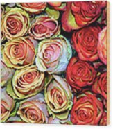 Roses Wood Print