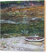 Rowboat In The Slough Wood Print