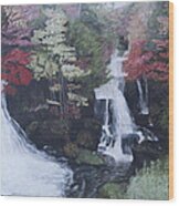 Ryuzu Waterfall Wood Print