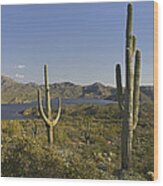 Saguaro Cactus At Bartlett Lake Arizona Wood Print
