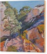 Sandstone Canyon At Torrey Pines Wood Print