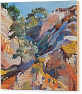 Sandstone Canyon Wood Print