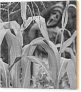 Scarecrow In The Corn Vertical Image Bw Wood Print